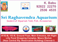 sri_raghavendra_aquarium
